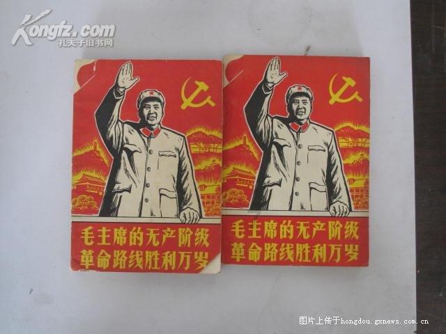 山乌龟为什么新长出的叶子黑尖？游戏画面